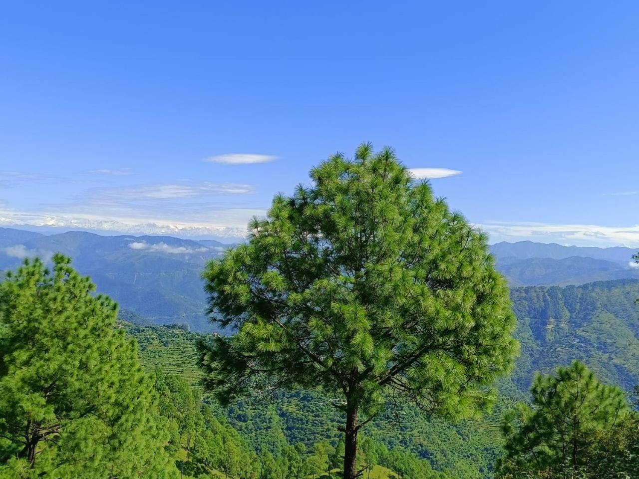 Joshi Holiday Home Stay Lansdowne Dış mekan fotoğraf