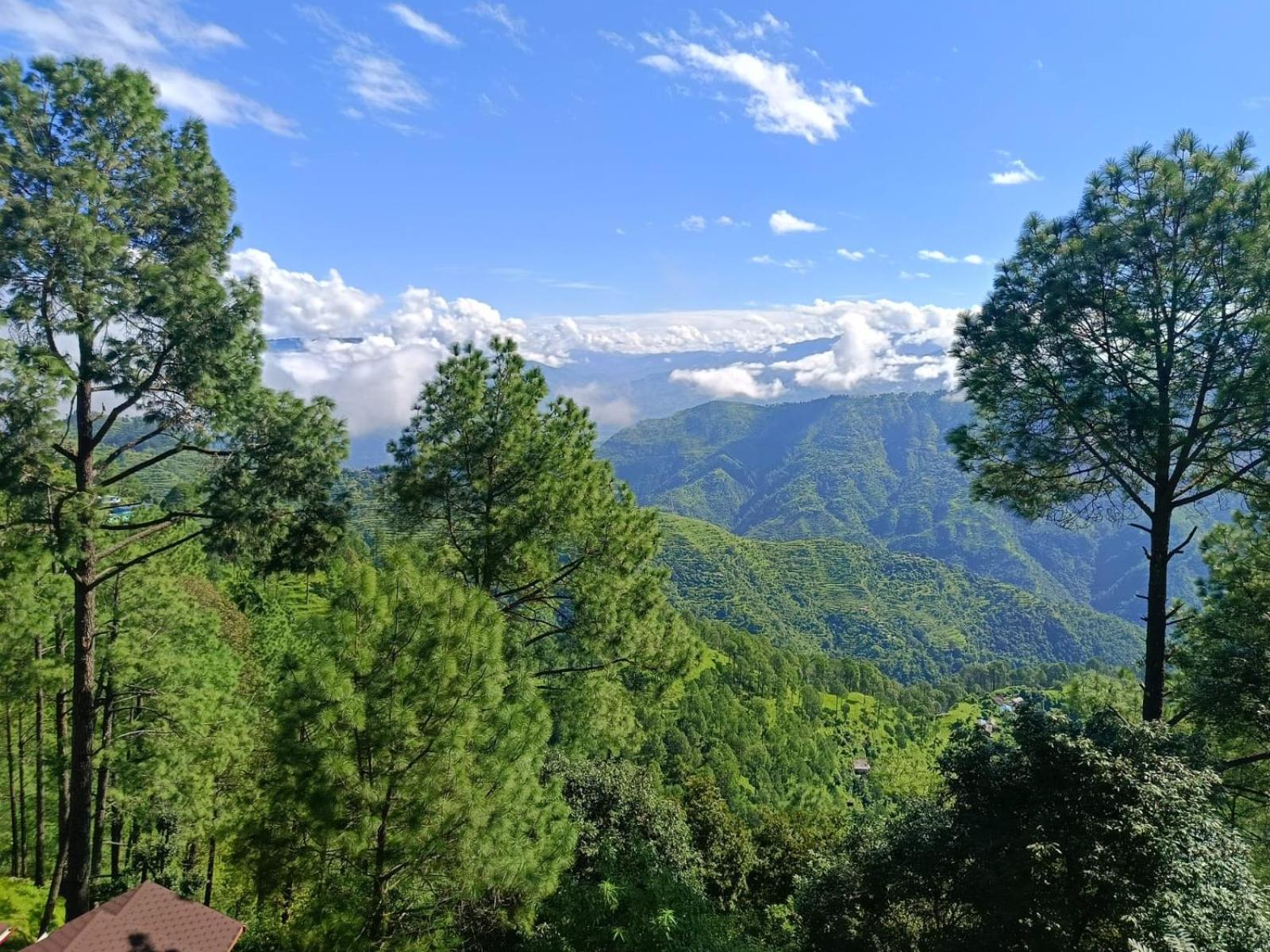 Joshi Holiday Home Stay Lansdowne Dış mekan fotoğraf
